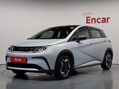 2026 BYD Dolphin