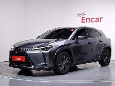 2019 Lexus UX