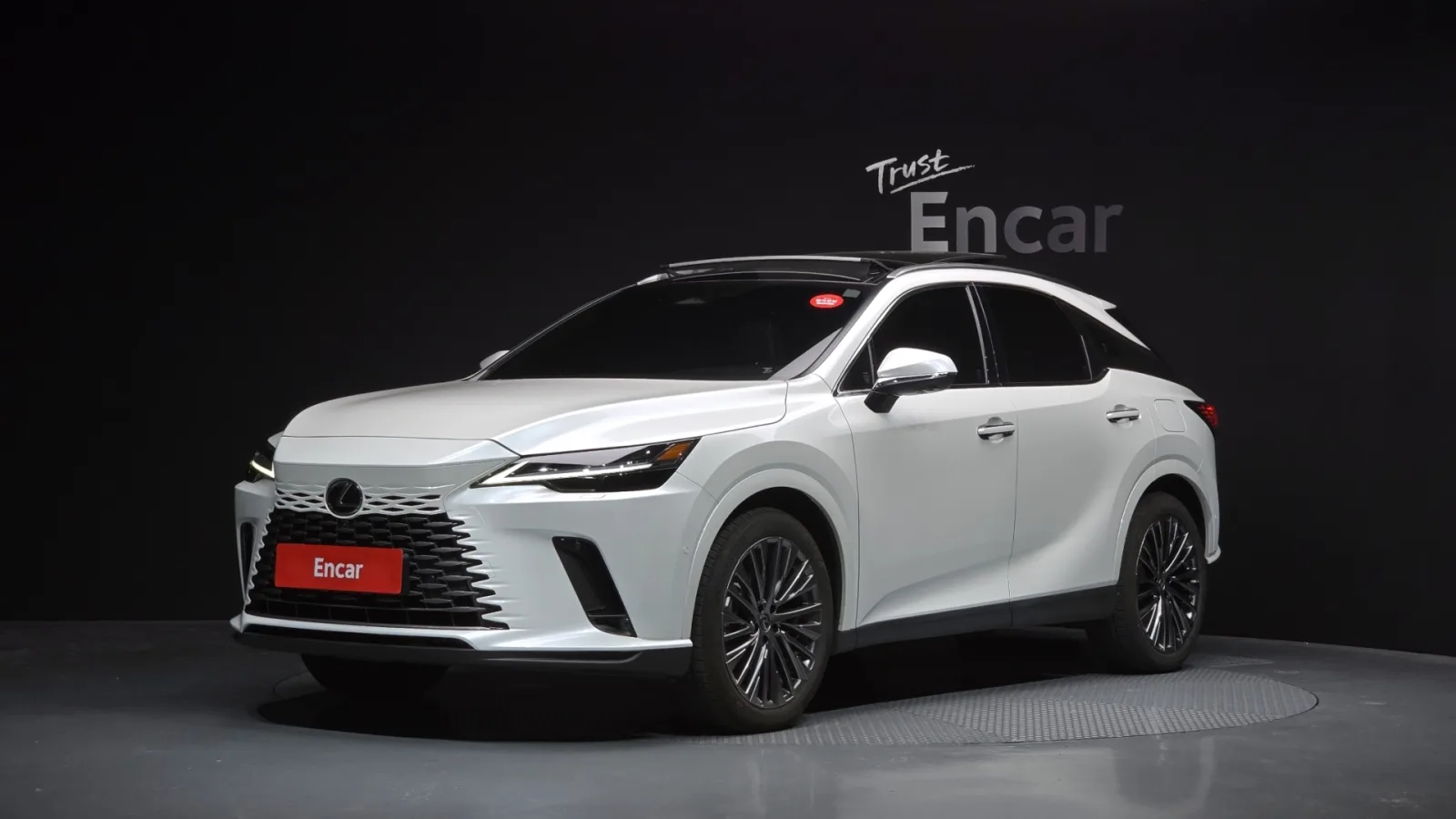 2025 Lexus RX