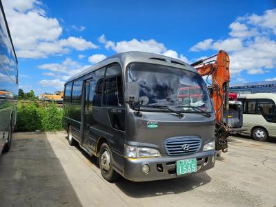 2006 Hyundai e-County