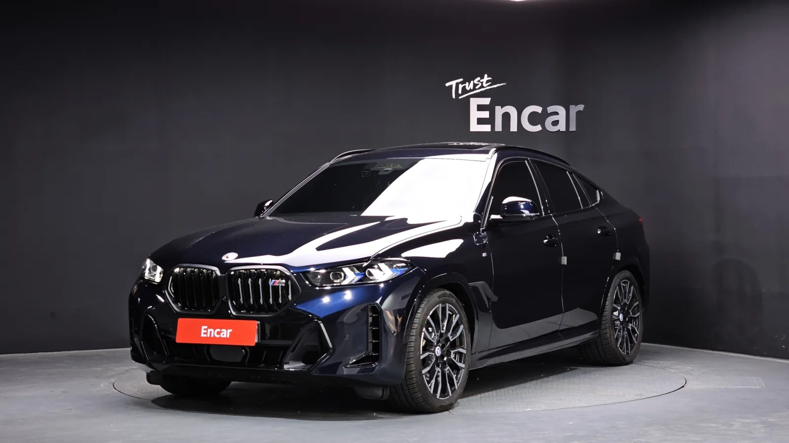 2025 BMW X6