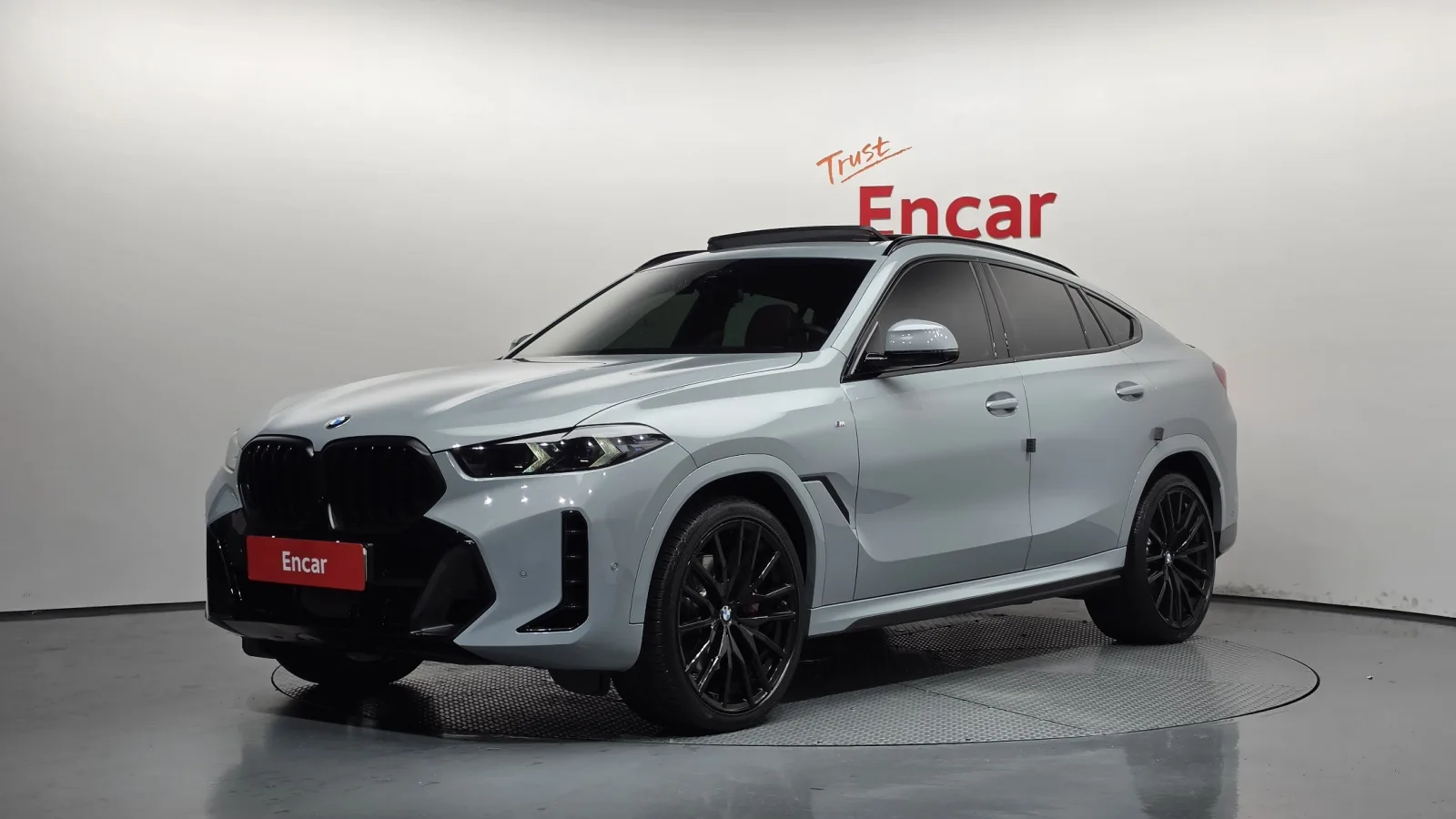 2024 BMW X6