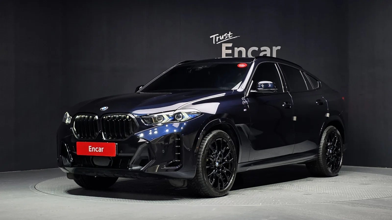 2024 BMW X6