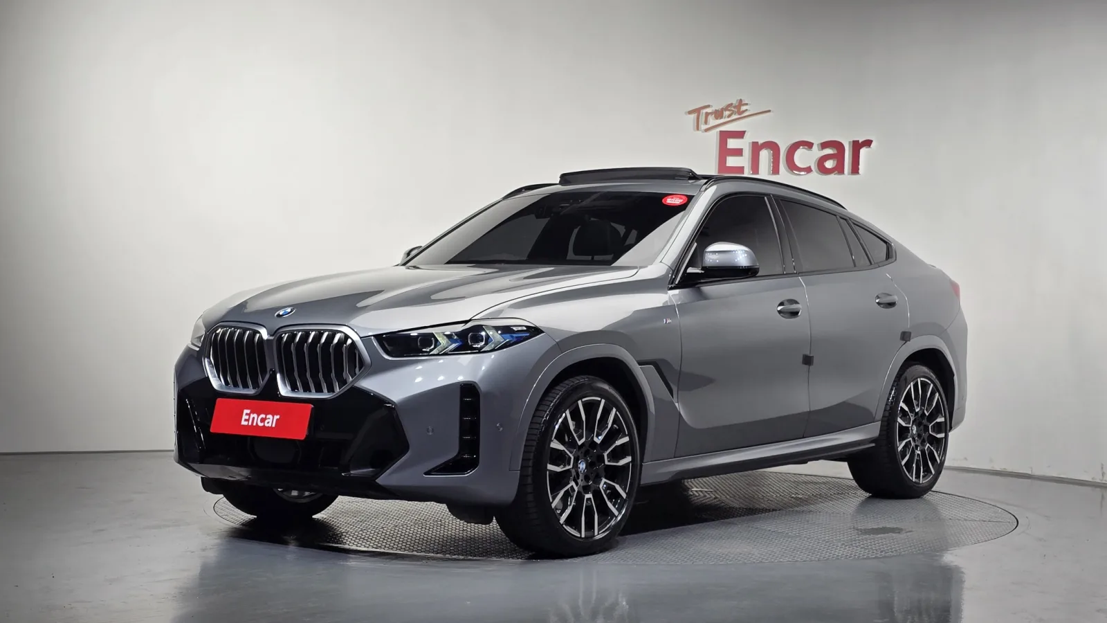 2025 BMW X6