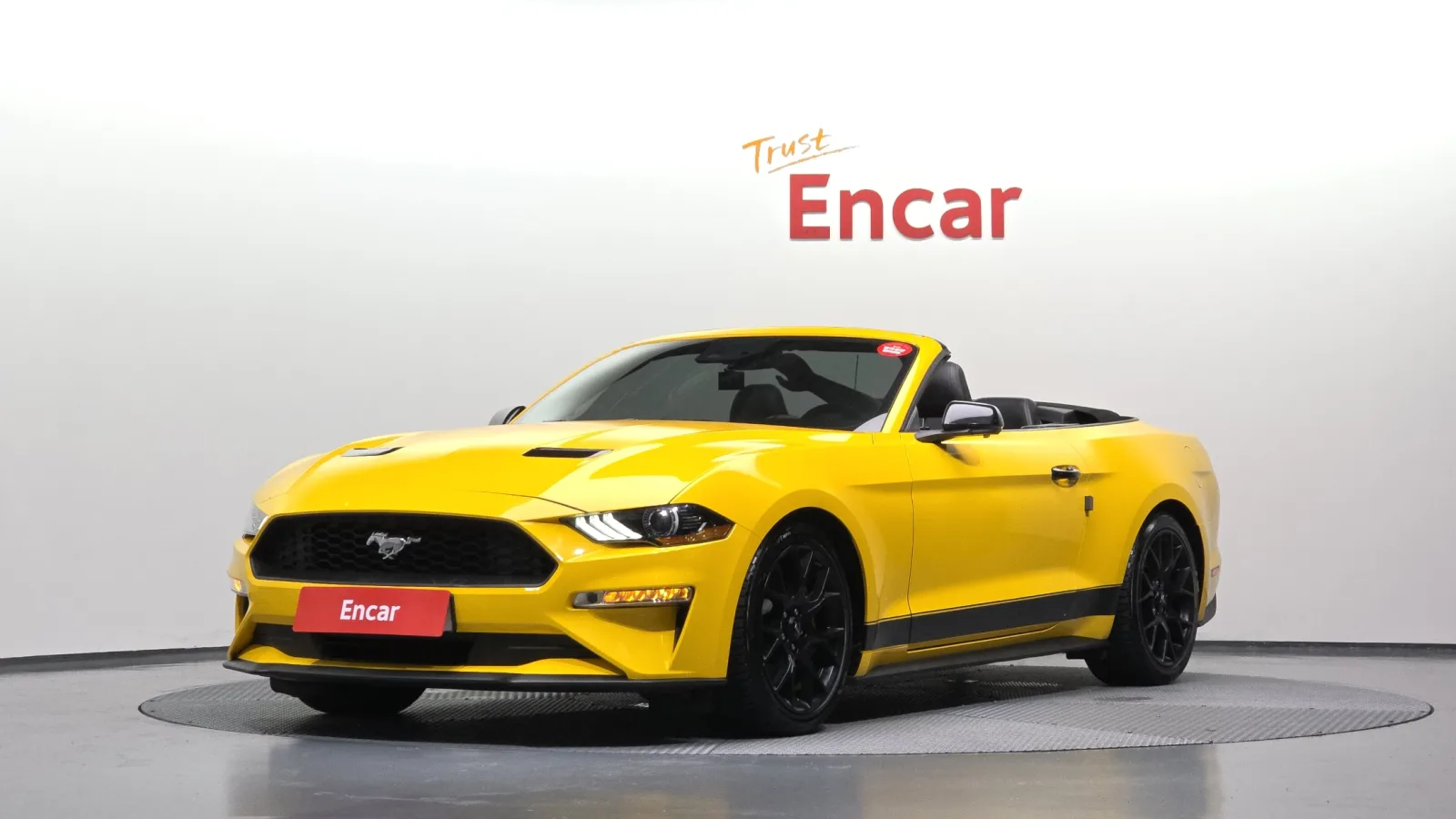 2019 Ford Mustang