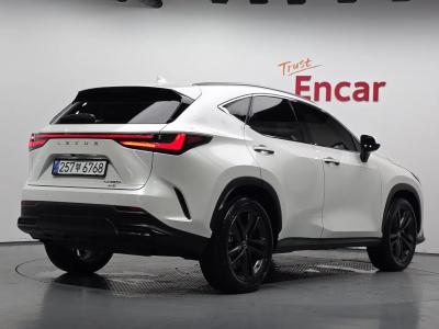 2025 Lexus NX