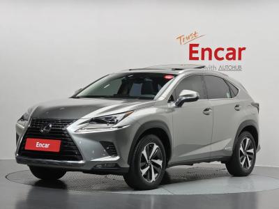 2021 Lexus NX