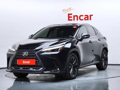 2024 Lexus NX