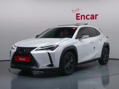 2021 Lexus UX