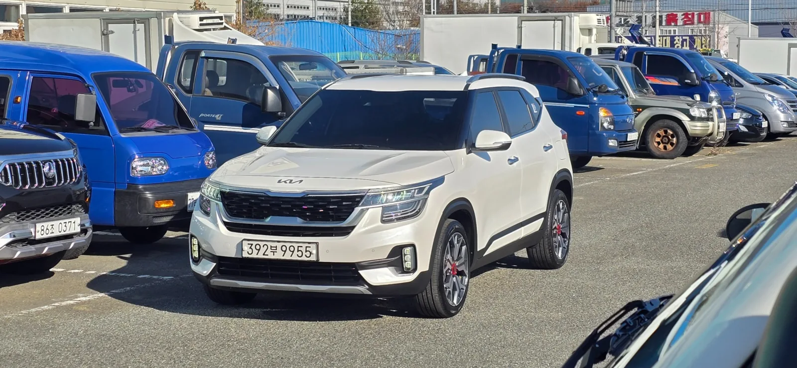 2023 Kia Seltos