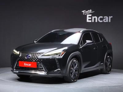 2021 Lexus UX