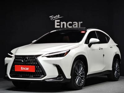 2025 Lexus NX