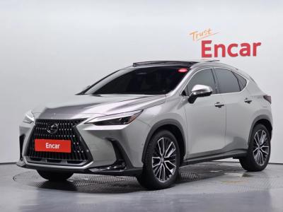 2025 Lexus NX
