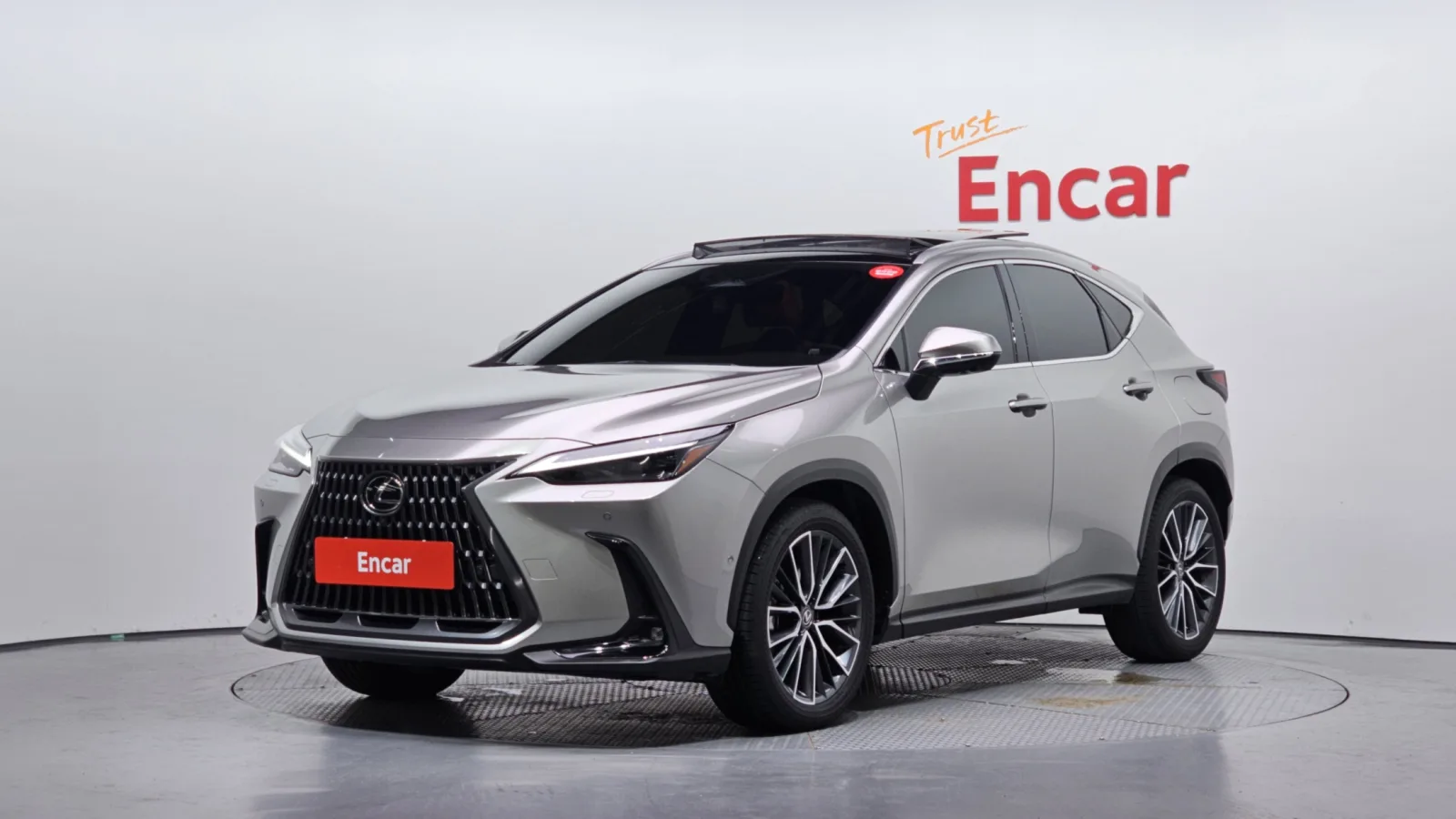 2025 Lexus NX