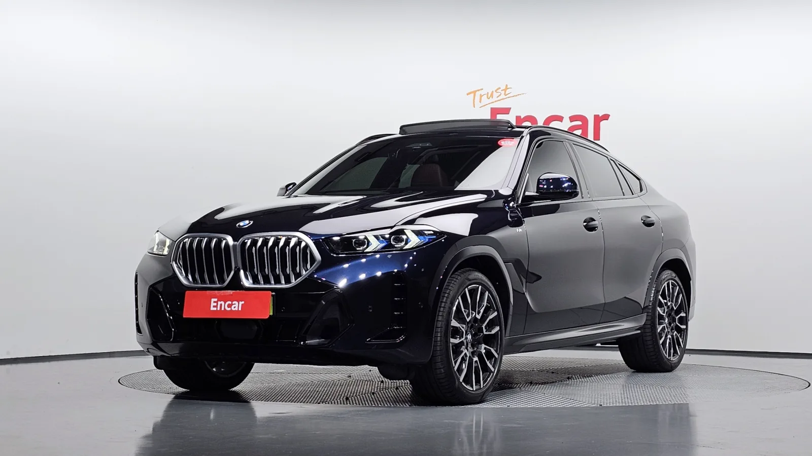 2024 BMW X6