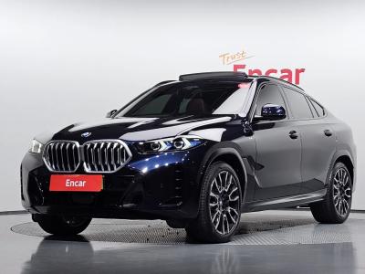 2024 BMW X6