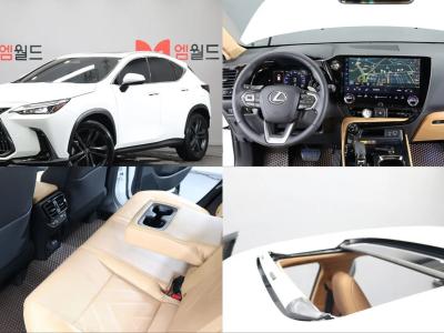 2026 Lexus NX