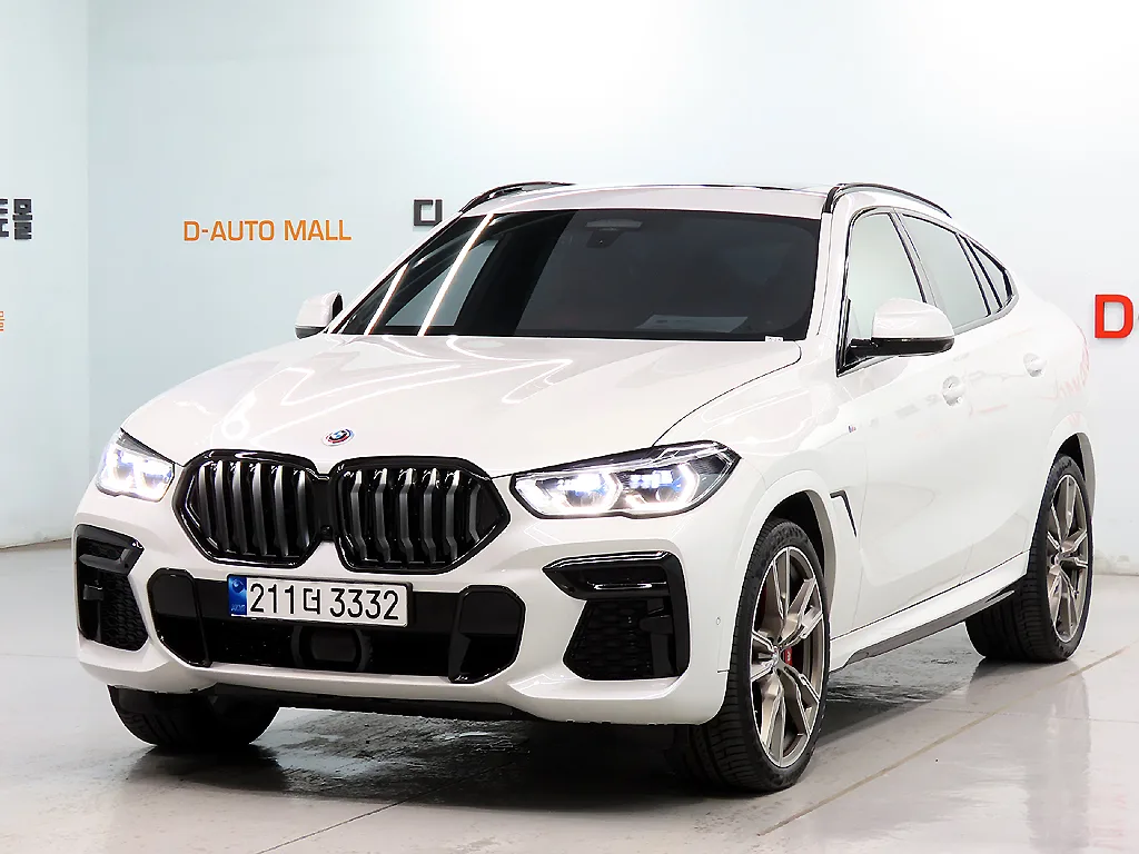 2023 BMW X6