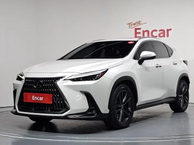 2023 Lexus NX