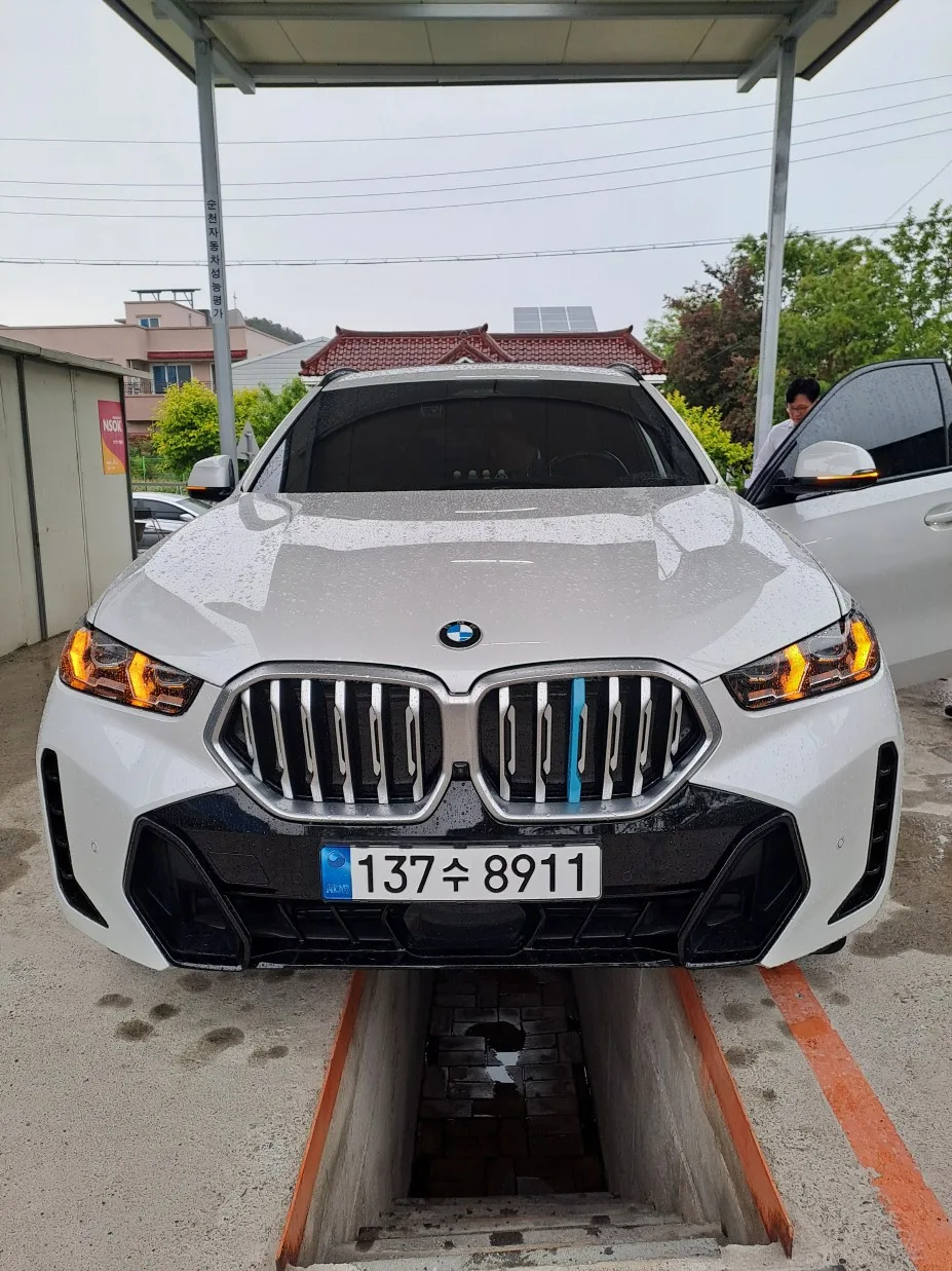 2024 BMW X6