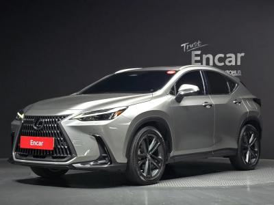2023 Lexus NX