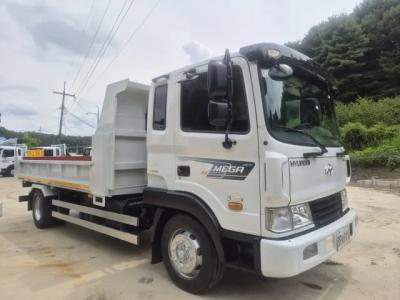 2013 Hyundai Mega Truck