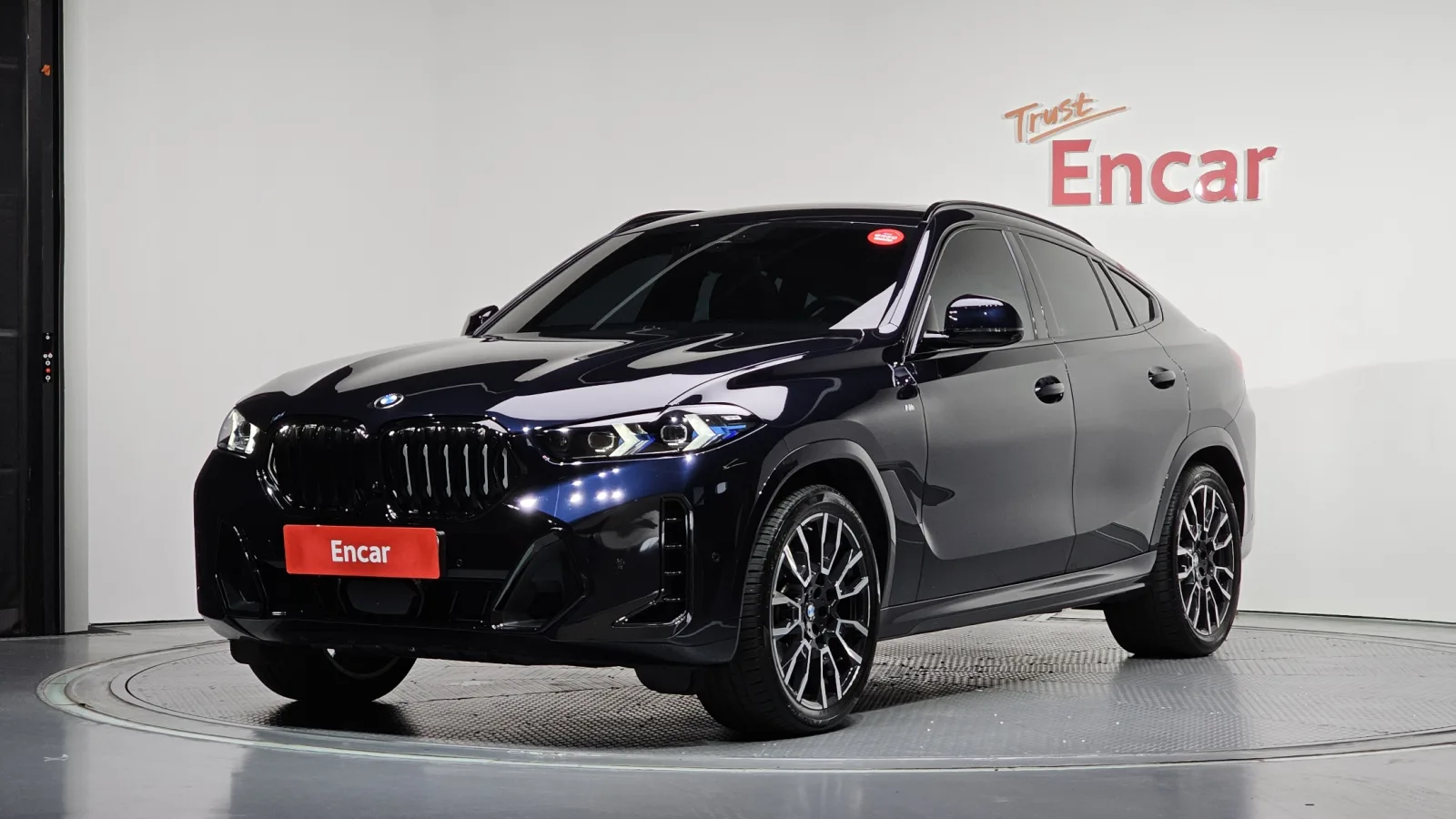 2025 BMW X6