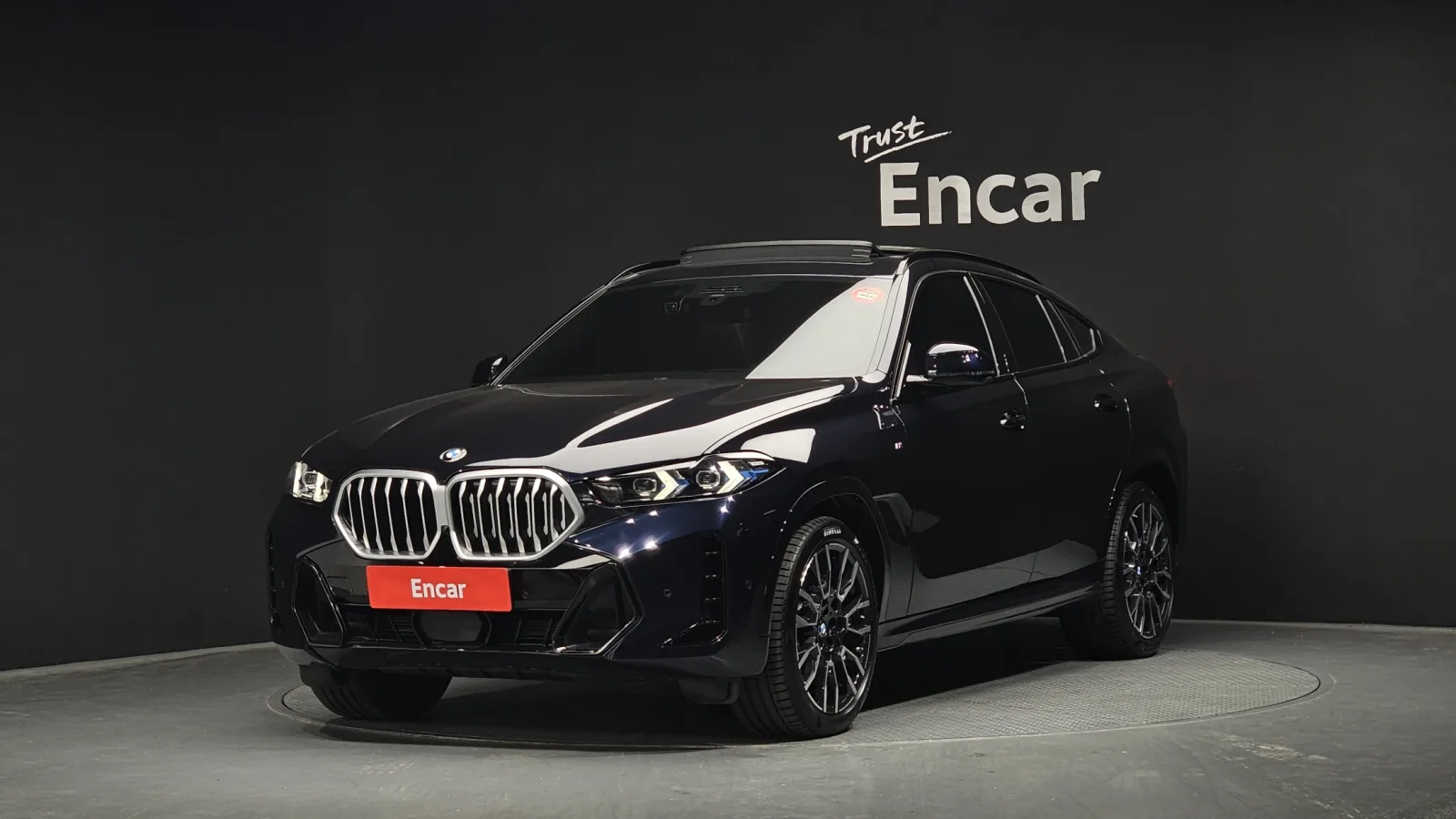 2025 BMW X6