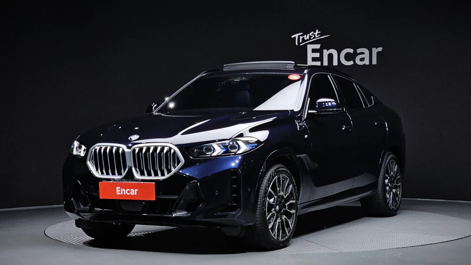 2024 BMW X6