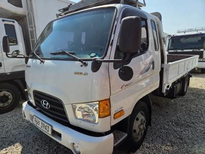 2010 Hyundai e-Mighty
