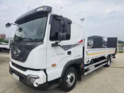 2023 Hyundai Pavise