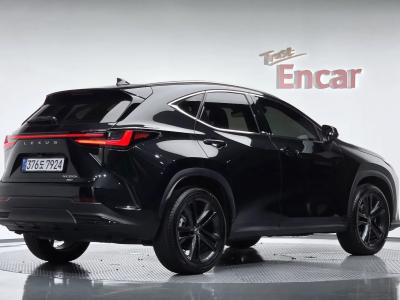 2025 Lexus NX
