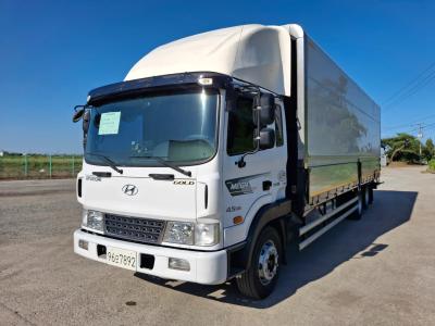 2017 Hyundai Mega Truck