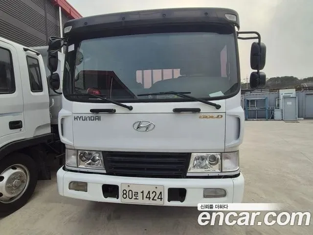 2011 Hyundai Mega Truck