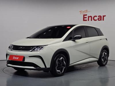 2026 BYD Dolphin