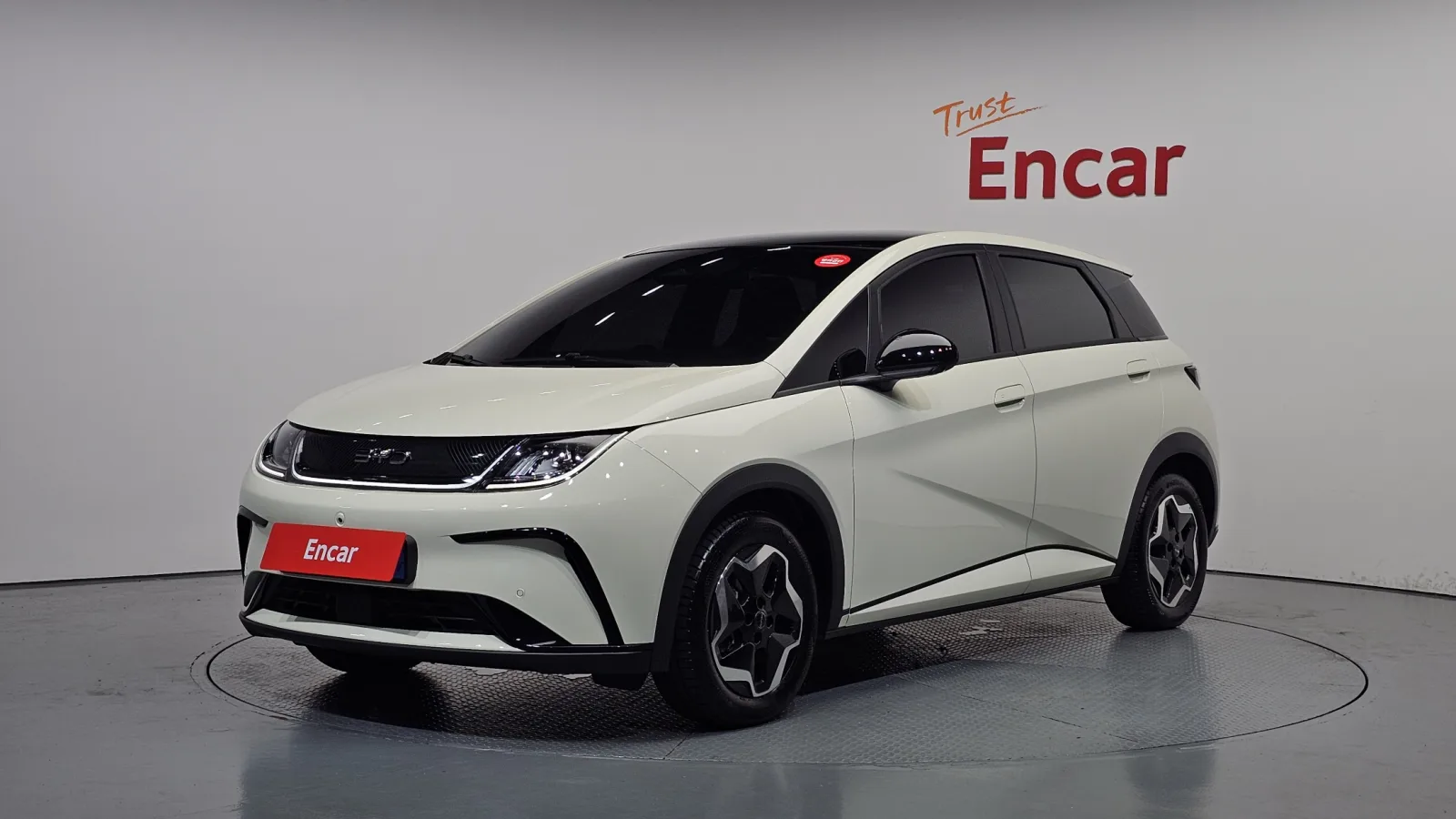 2026 BYD Dolphin