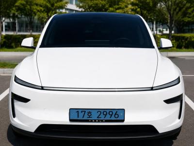 2025 Tesla Model Y