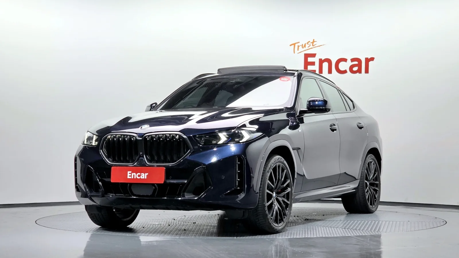 2025 BMW X6