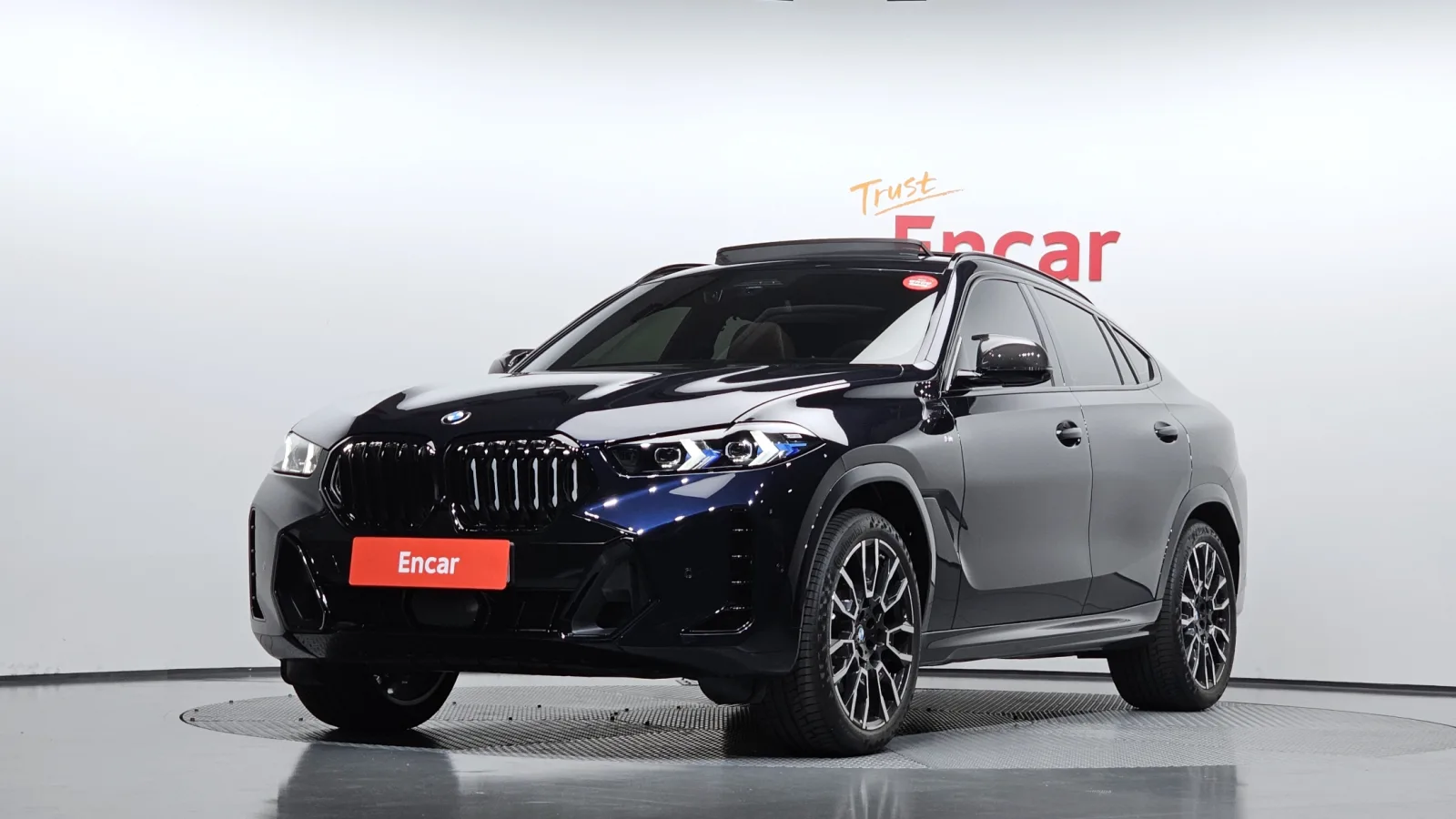 2025 BMW X6