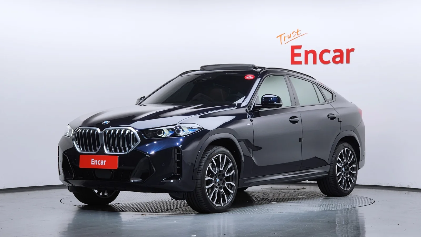 2025 BMW X6