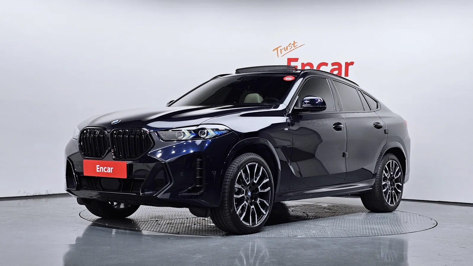 2025 BMW X6