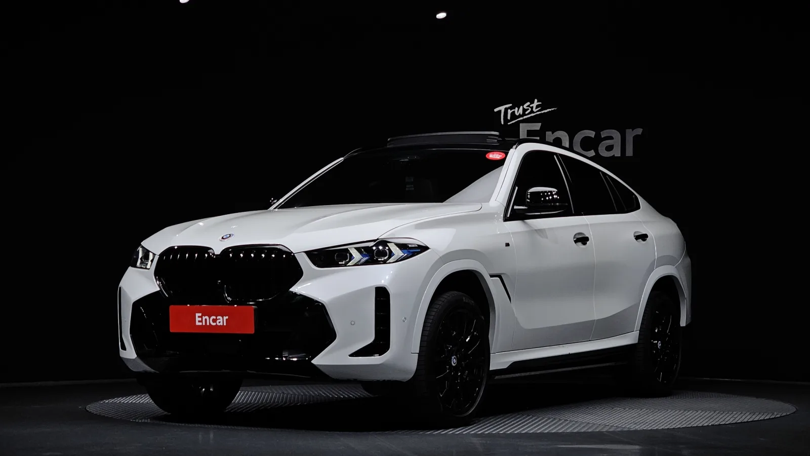 2024 BMW X6