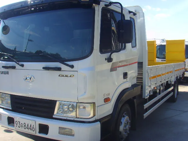 2010 Hyundai Mega Truck