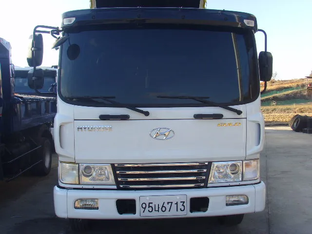 2010 Hyundai Mega Truck