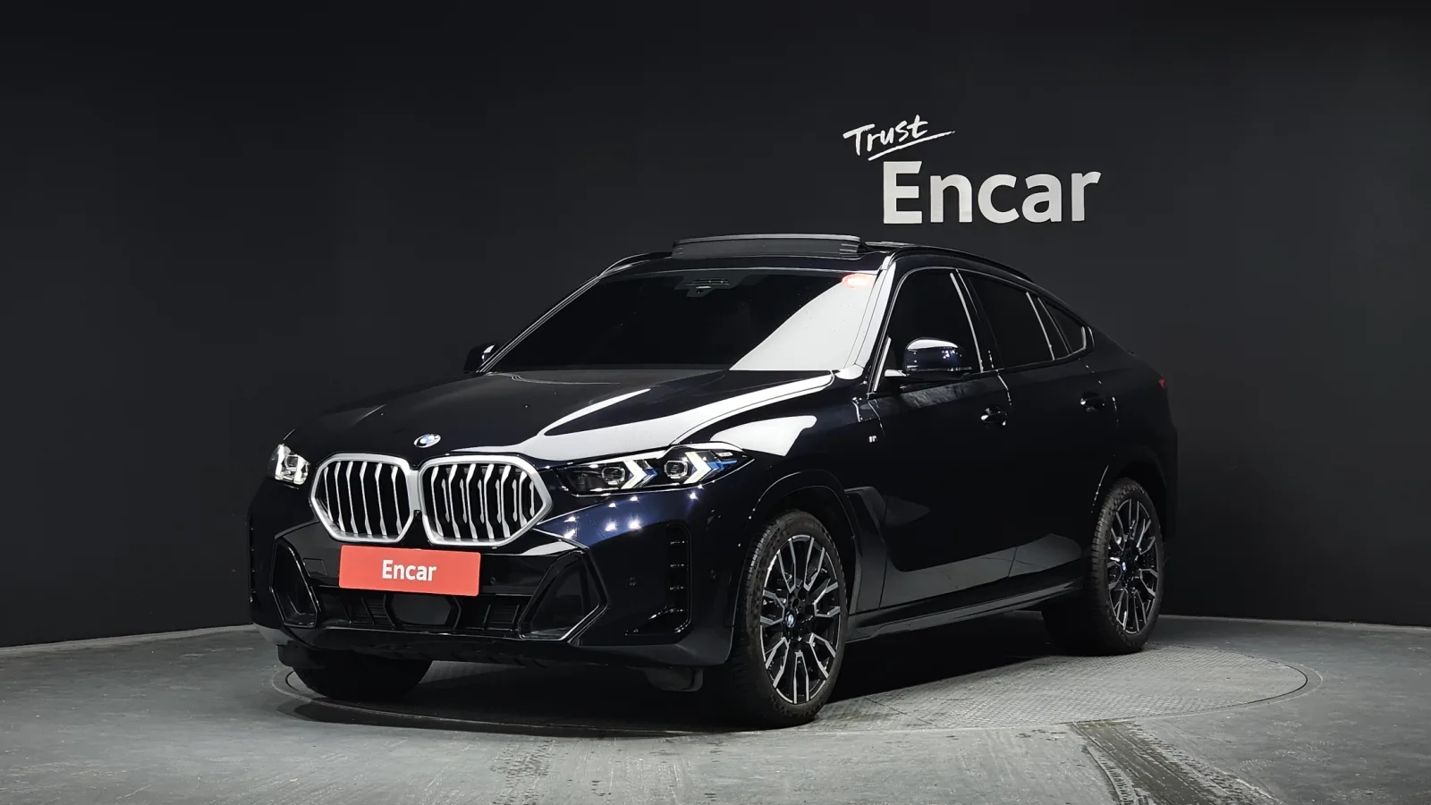 2025 BMW X6