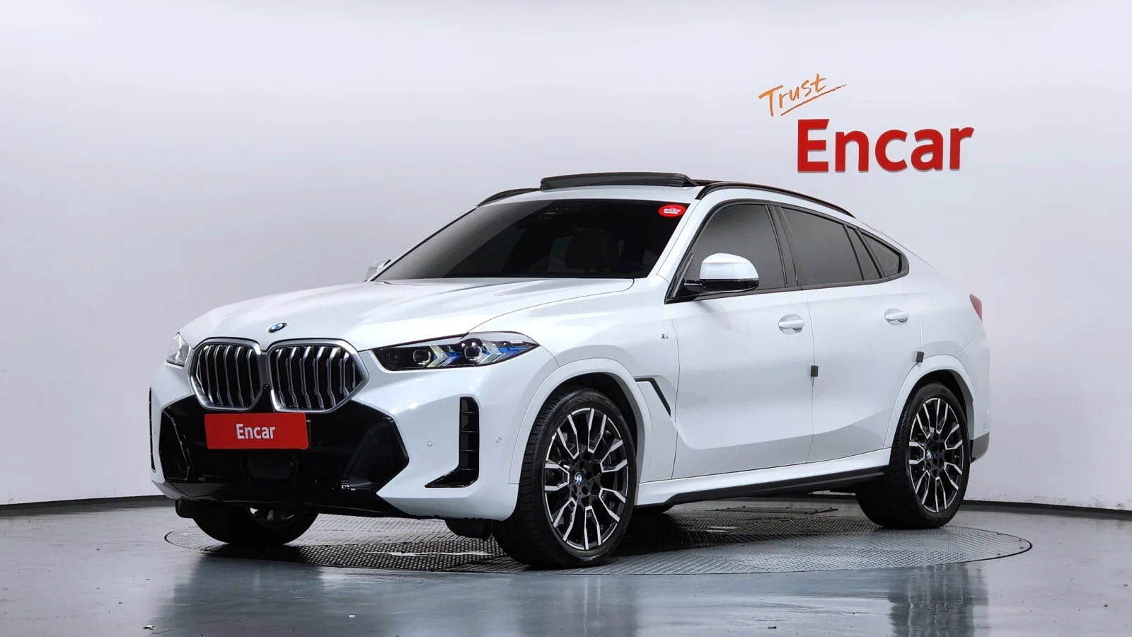 2025 BMW X6