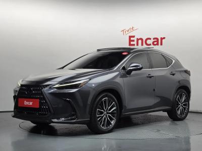 2023 Lexus NX