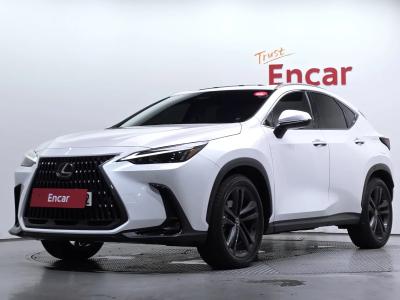2025 Lexus NX