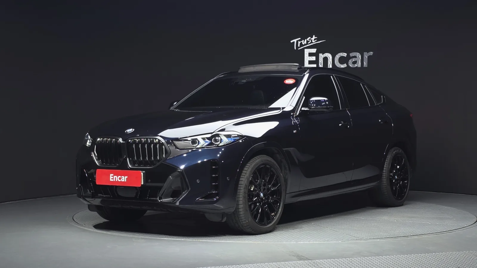 2024 BMW X6