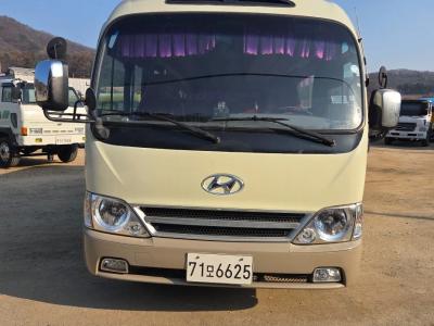 2015 Hyundai e-County